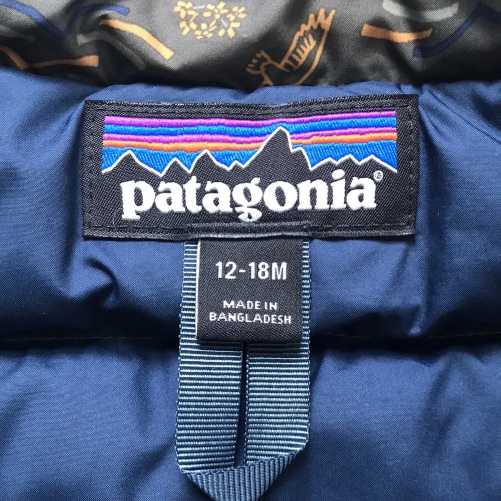 Patagonia Puffer Jacket (size 12-18m)